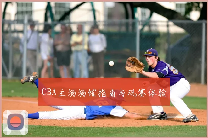 CBA主场场馆指南与观赛体验